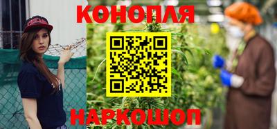 прущие крисы Гатчина