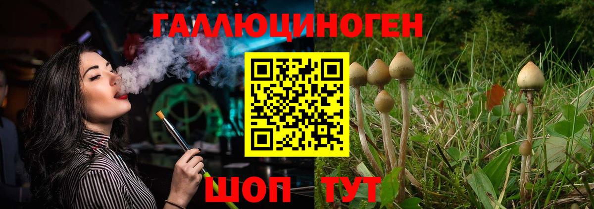 Мирный  Галлюциногенные грибы Psilocybine cubensis  Псилоцибиновые грибы прущие грибы  Вход с VPN 